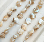 Coastal Shell Necklace