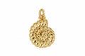 Shell Charm