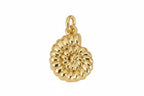 Shell Charm