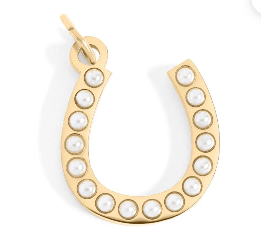 Lucky Horseshoe Charm