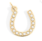 Lucky Horseshoe Charm